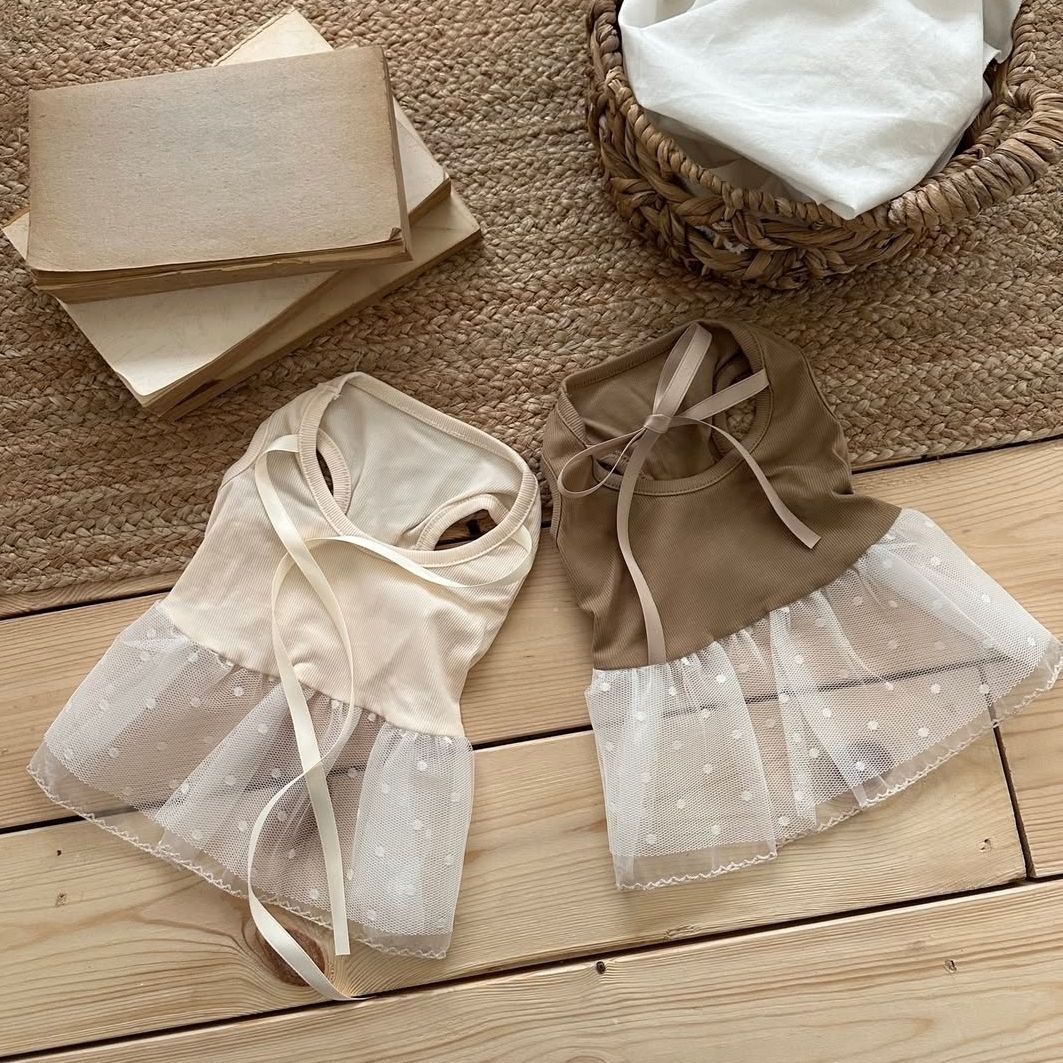 Lace Teddy Lingerie - Robe-veste en dentelle pour animaux de